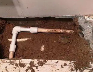 黄骅测漏水哪家好