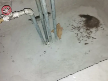 黄骅卫生间测漏水价格明细